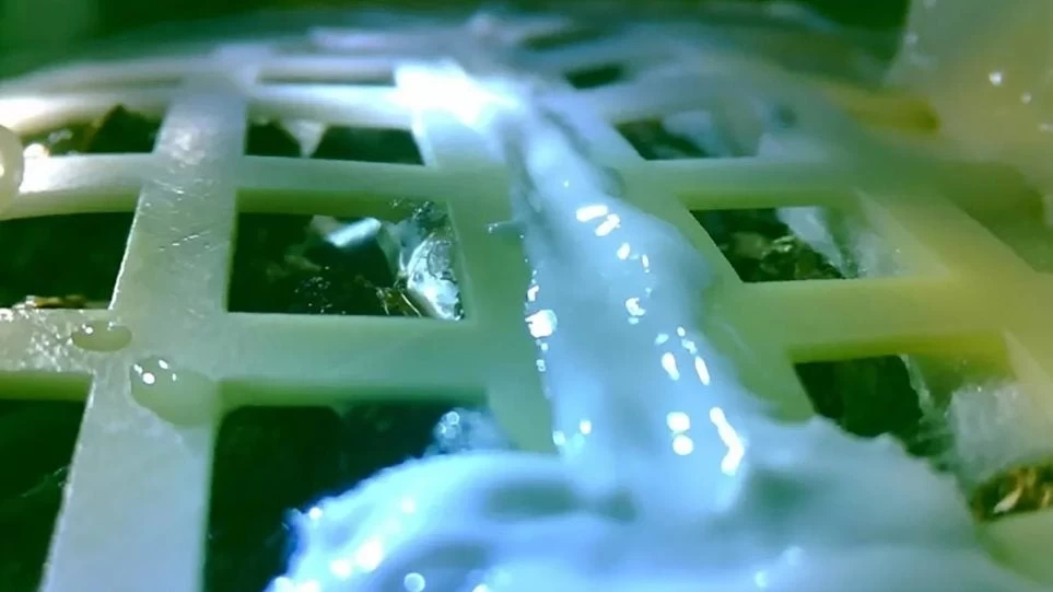 Δεν τα κατάφερε ο κινεζικός σπόρος βαμβακιού στη Σελήνη: Λύγισε από το παγωμένο βράδυ των -170 βαθμών Κελσίου (βίντεο)